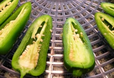 dehydrate jalapeno peppers