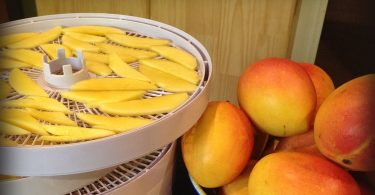 dehydrating mangoes in the dehydrator