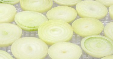 drying onions