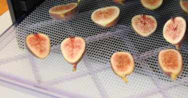 drying figs in food dehydrator
