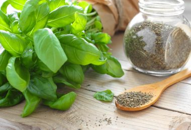 how to store dried basil leaves