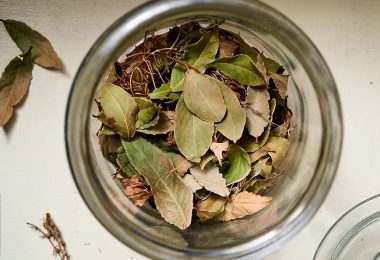 how to store dried bay leaves