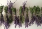 drying lavender leaves