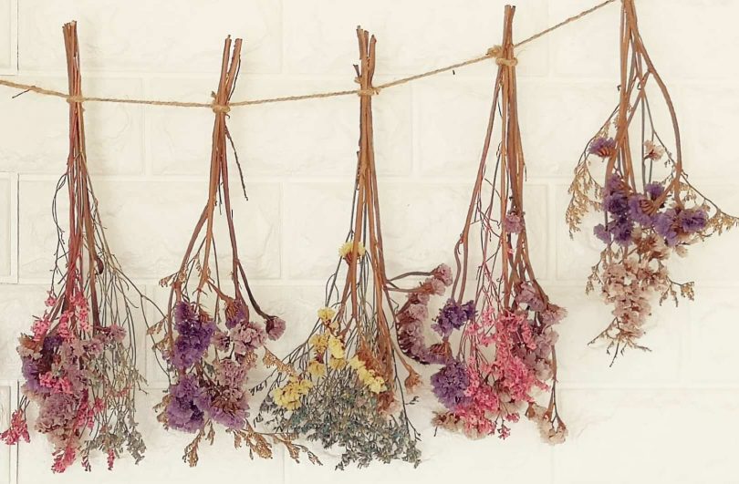 drying flowers