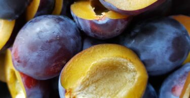ow to dry plums in the oven