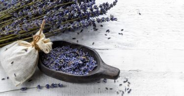 what to do with dried lavender