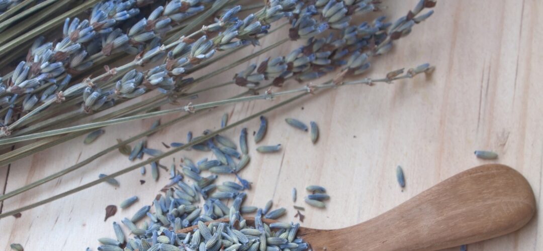 health benefits of dried lavender