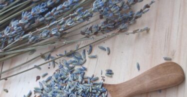 health benefits of dried lavender