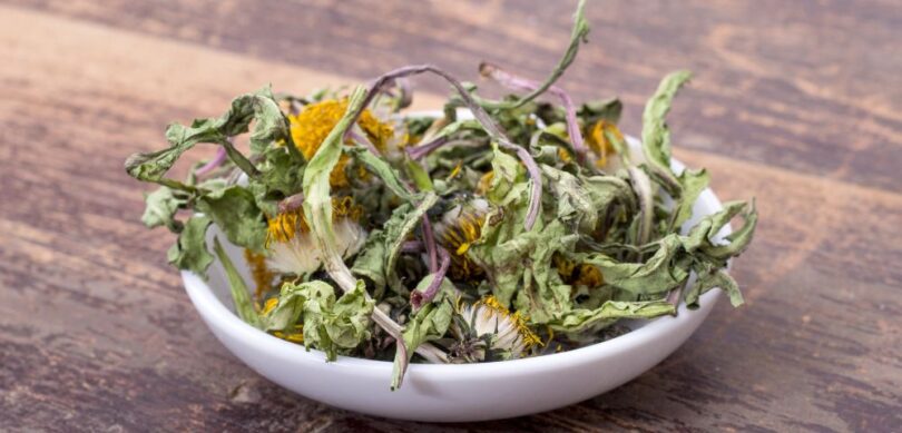 how to dry dandelion flowers