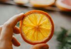 how to dry orange slices oven dehydrator