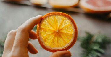 how to dry orange slices oven dehydrator