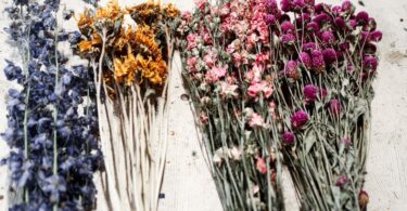 how to dry flowers quickly
