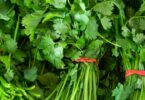 how to dry cilantro - hang-dry cilantro