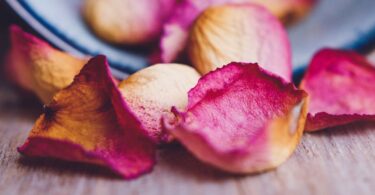 how to save rose petals