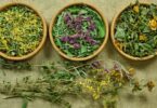 how to dry herbs in the oven