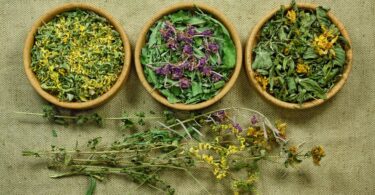 how to dry herbs in the oven