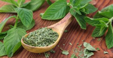 dried and fresh mint. how to dry mint