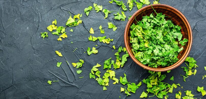 how to dry parsley leaves in the oven, with a dehydrator